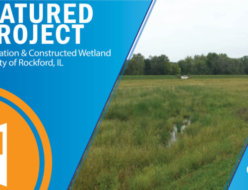 Engineering Ingenuity and Ecological Impact: The Constructed Wetland Project