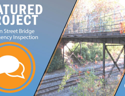 Engineering Under Pressure: Evaluating the Dakin Street Bridge for Emergency Zoo Evacuation